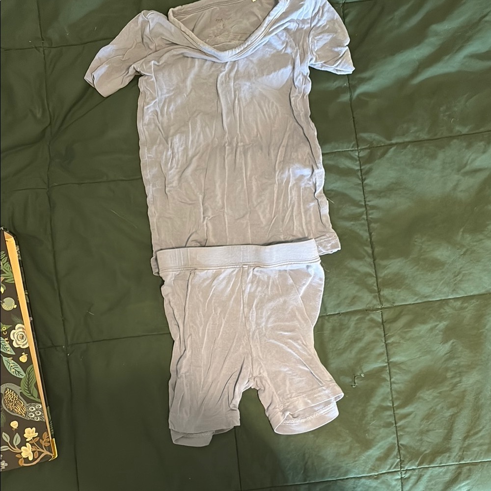 Little Sleepies Perwinkle Pajama Set (2T)